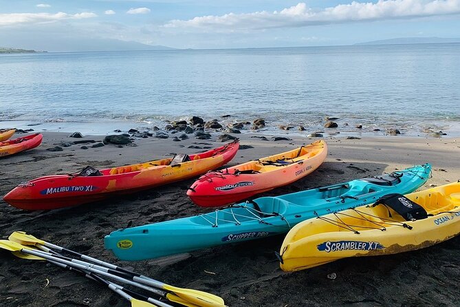 Kayak and Snorkel: Maui West Shore - Meeting Point and Activity End