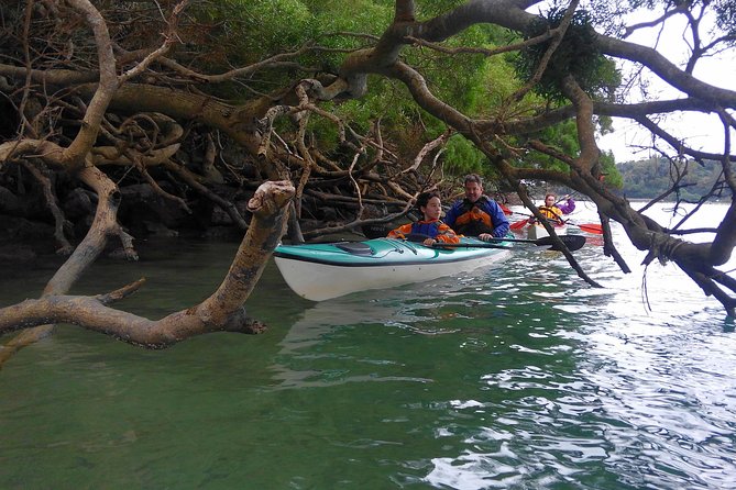 Kayak Mangroves or Coral Reef: Private Tour in North Okinawa - Weather and Sea Conditions Advisory