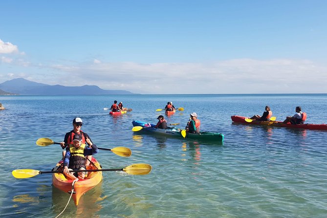 Kayak Turtle Tour From Palm Cove - Participant Requirements