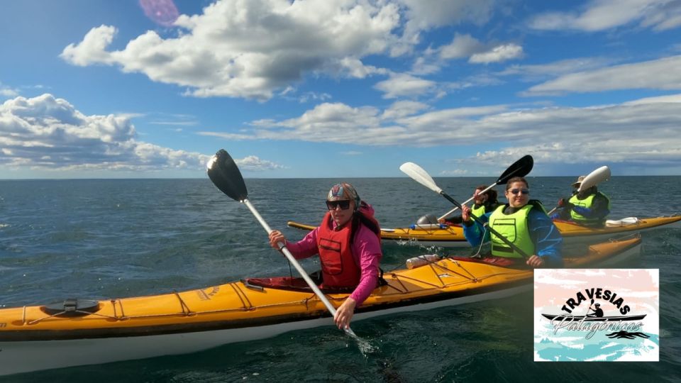 Kayaking Adventure in Puerto Madryn - Safety Tips