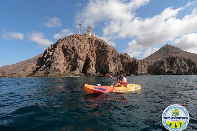 Kayaking and Snorkeling Through the Best Coves of the Cabo De Gata Natural Park - Learn About Marine Life