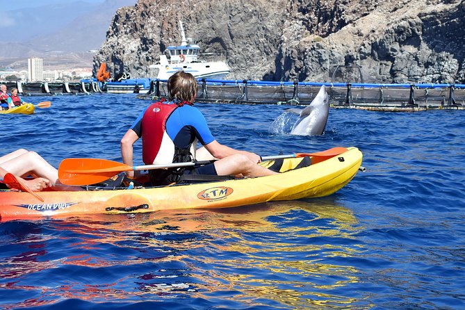 Kayaking With Dolphins and Turtles and Snorkelling in Tenerife - Common questions