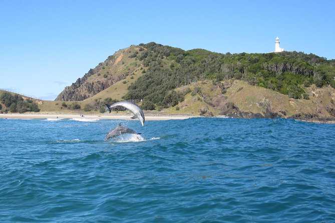 Kayaking With Dolphins in Byron Bay Guided Tour - Last Words
