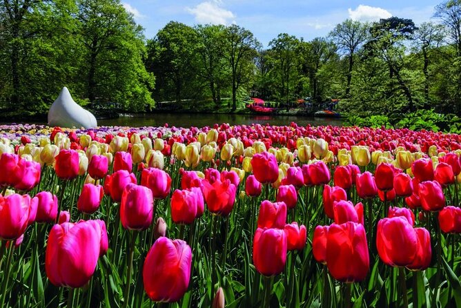 Keukenhof Ticket With Roundtrip Shuttle Bus From Amsterdam - Last Words