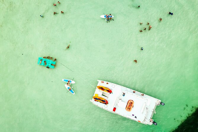 Key West Mangrove Kayak Eco Tour and Ultimate Sandbar Adventure - Experience Highlights