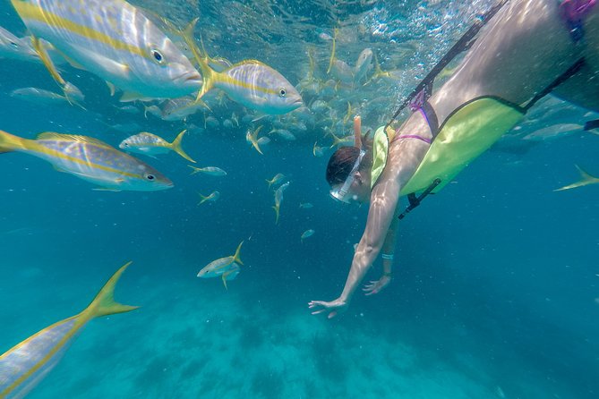 Key West Schooner Backcountry Eco-Tour: Sail, Snorkel & Kayak - Key West Schooner Tour Tips