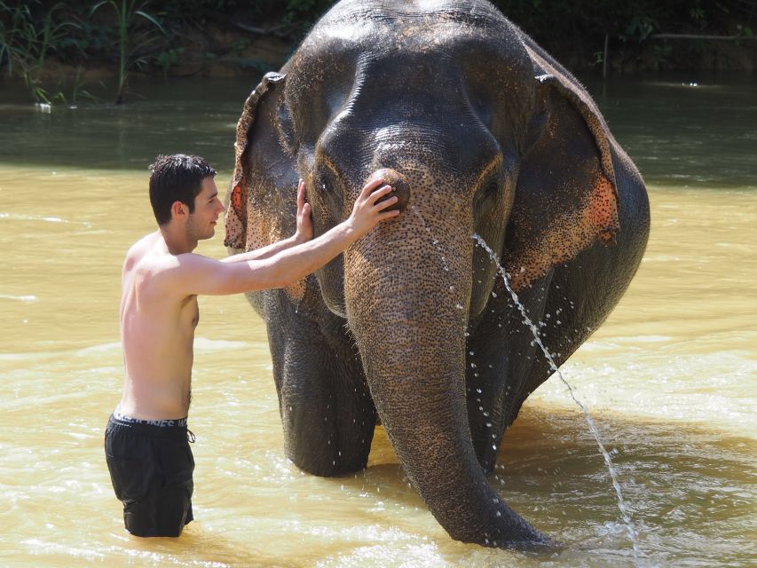 Khao Lak: Bamboo Rafting, Elephants, and Turtle Center Tour - Background Information