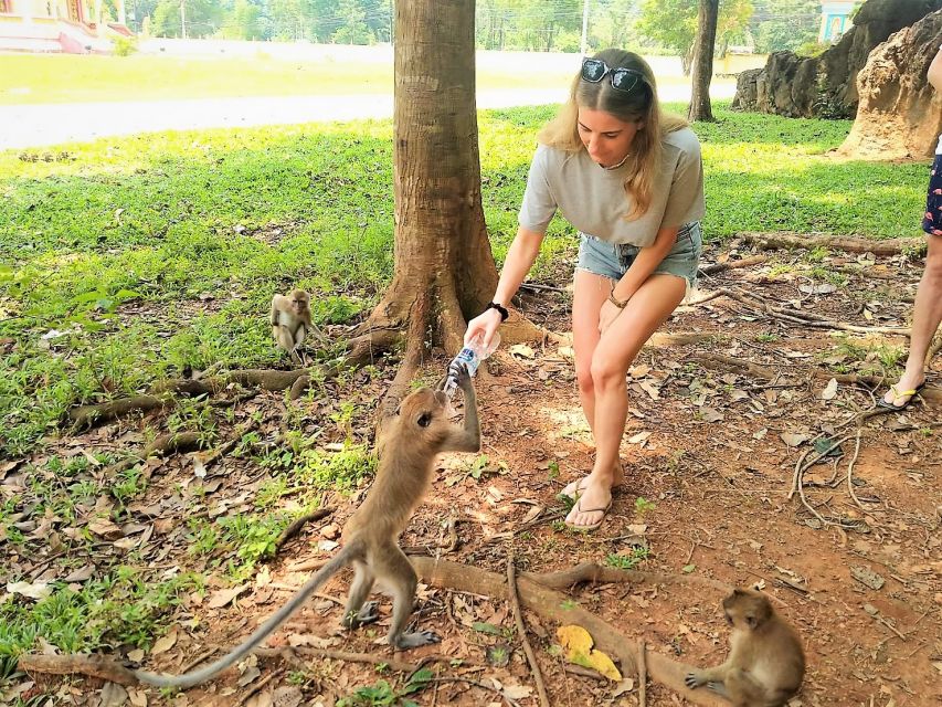 Khao Sok: Elephant Rescue Center With Lunch & Bamboo Rafting - Directions