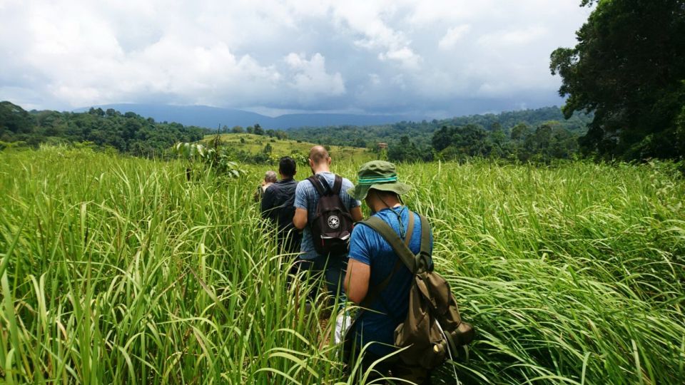 Khao Yai National Park Jungle Trekking Day Trip From Bangkok - Khao Yai National Park Exploration