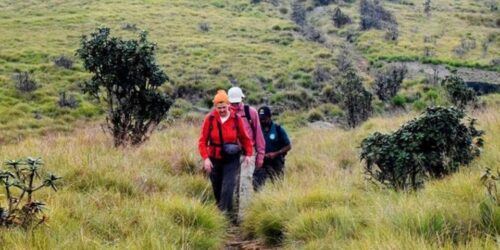 Kirigalpoththa Mountain Hike Through Horton Plains - Last Words