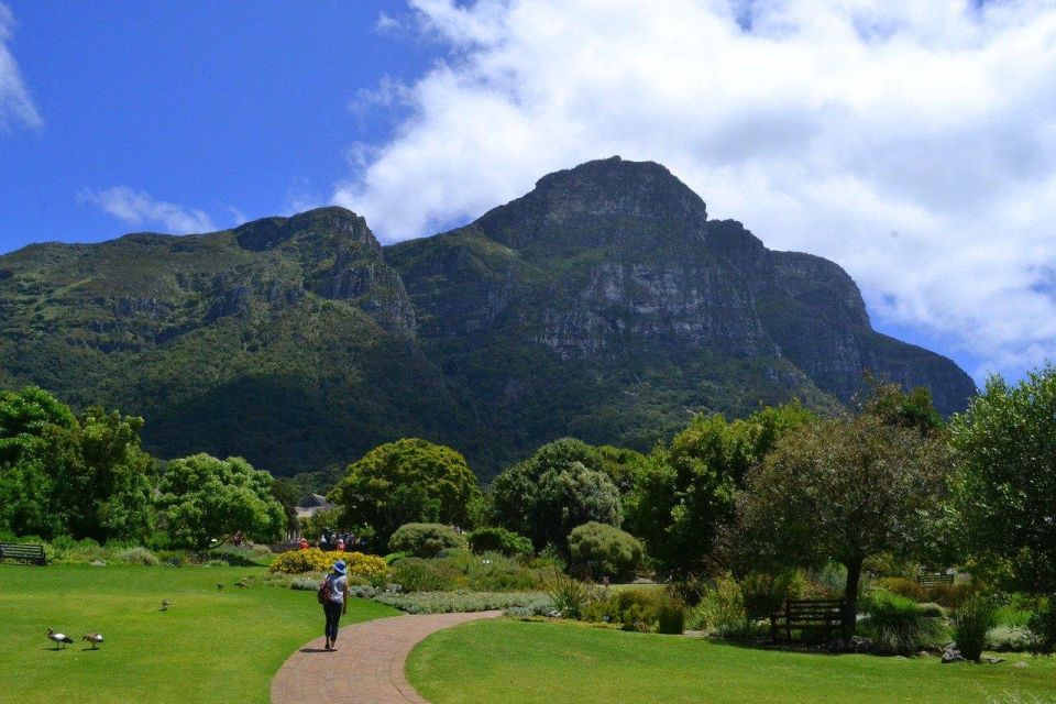Kirstenbosch Garden, Bo-Kaap-Penguins & Cape Peninsula Tour - Boat Ride to Seal Island and Seal Observation