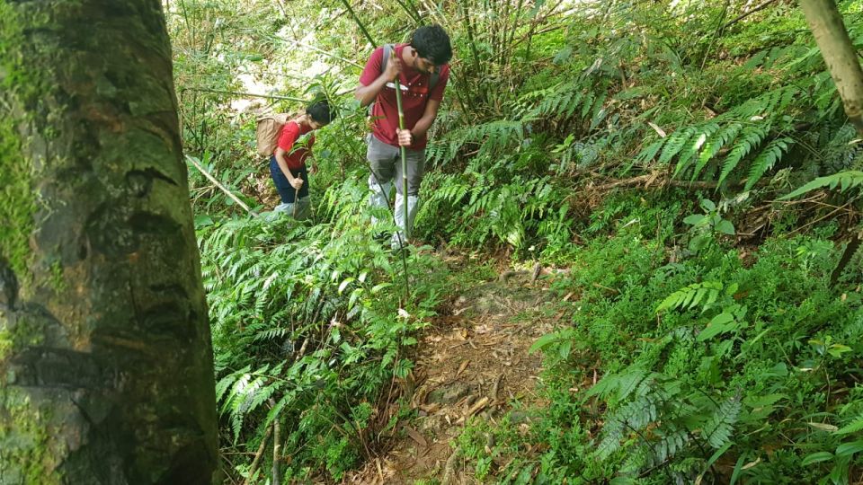 Knuckles Mountain Range, Matale - Book Tickets & Tours - Enjoy Activities and Attractions