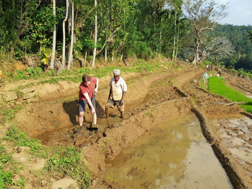 Knuckles Spice Trail Trek From Kandy - Starting Times and Availability