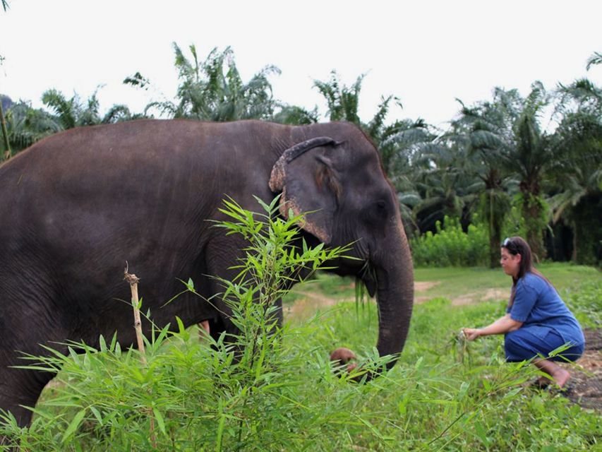 Ko Lanta Yai: Half-Day Ethical Elephant Sanctuary Tour - Common questions
