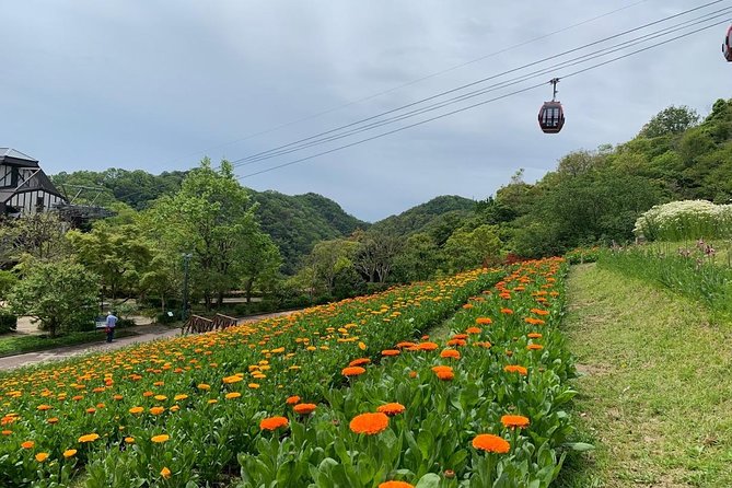 Kobe Private Tour From Osaka (Shore Excursion Available From Osaka or Kobe Port) - Safety and Health Guidelines