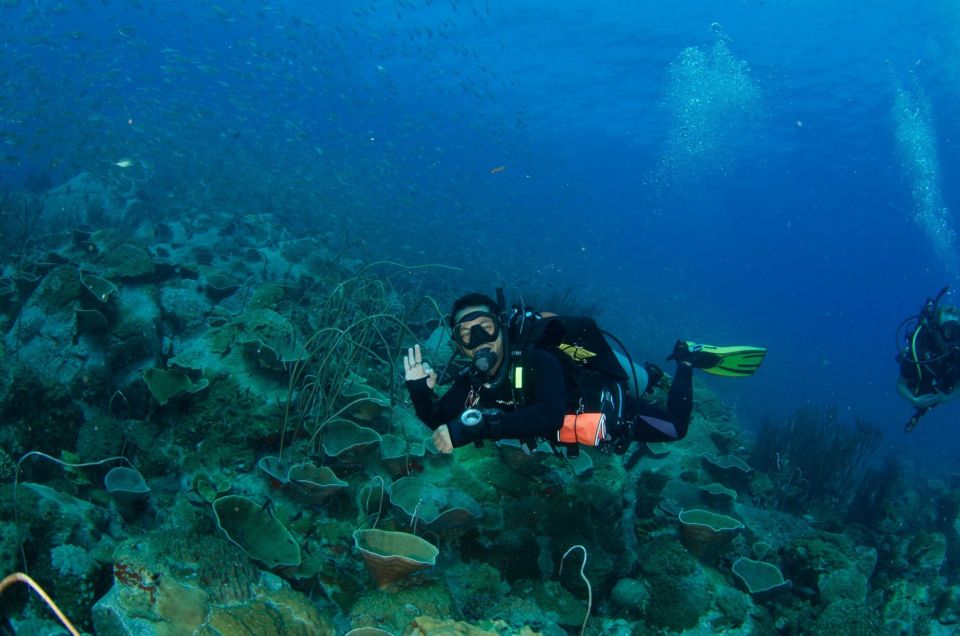 Koh Kood: 3-Day PADI Open Water SCUBA Diving Course - Last Words