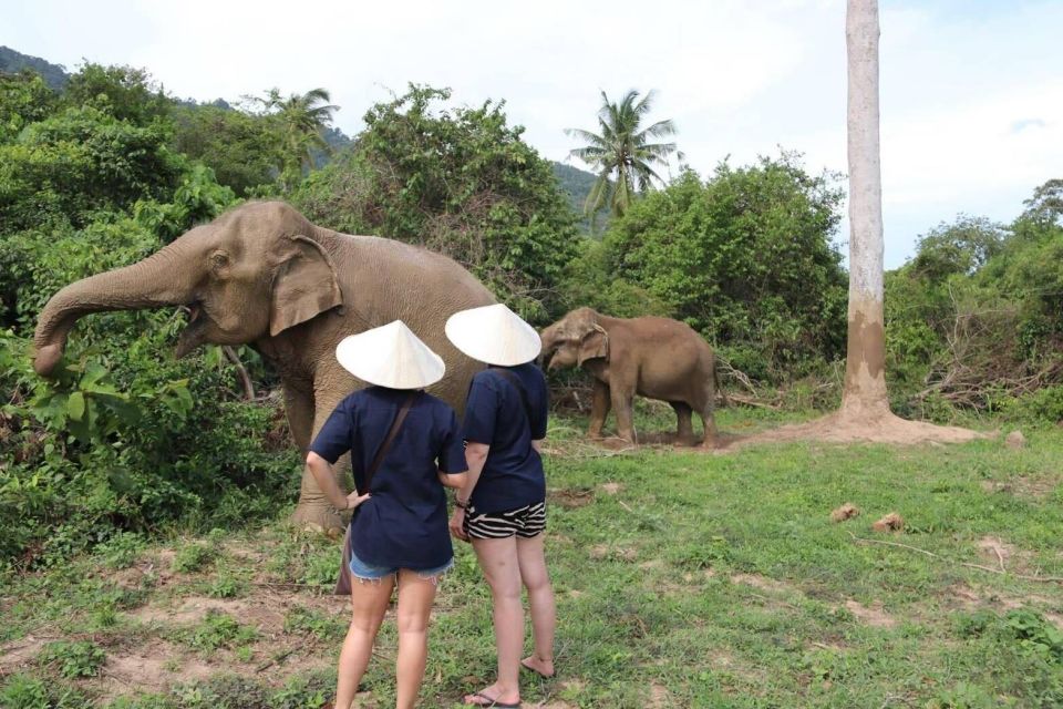 Koh Samui: Elephant Sanctuary and More - Full Day - Itinerary and Guidelines