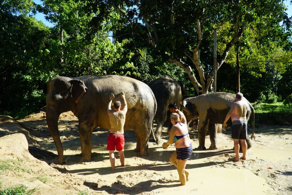 Koh Samui: Half-Day Ethical Elephant Sanctuary With Mud Spa - Value for Money