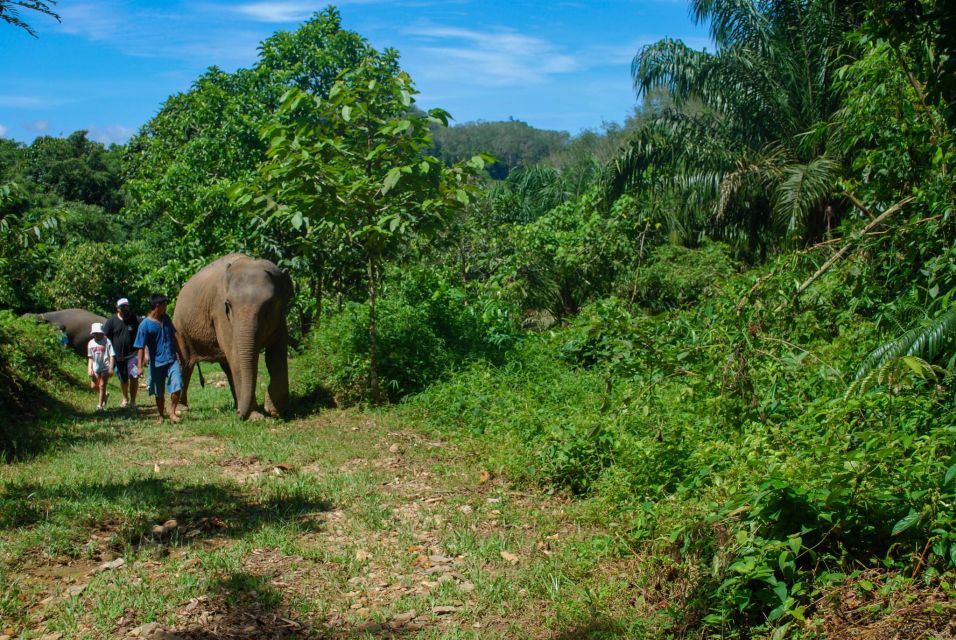 Krabi: Ethical Elephant Sanctuary Experience - Common questions