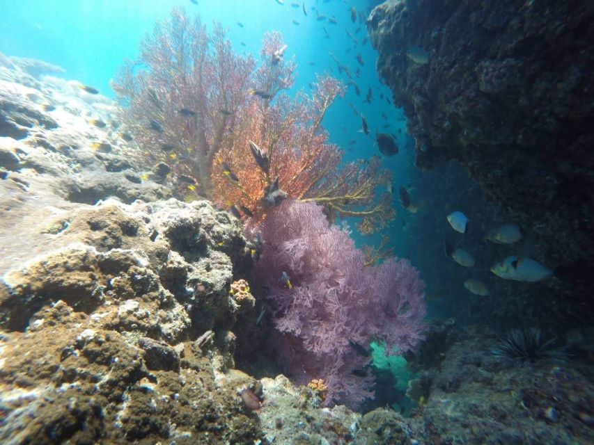 Krabi: Freediving and Snorkeling at Yawasam and Talu Island - Common questions