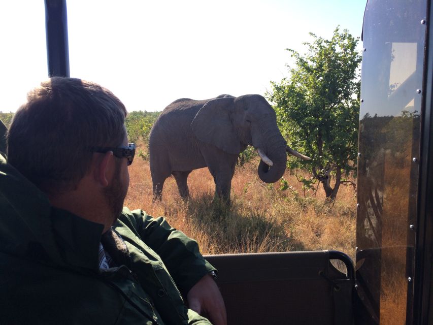 Kruger National Park: Private Morning Game Drive - Directions
