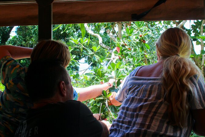 Kualoa Ranch Off-Road Jungle, Garden, Film Location Tour (Mar ) - Last Words