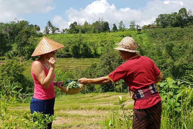 Kubu Terrace Jatiluwih Cooking Class - Reviews