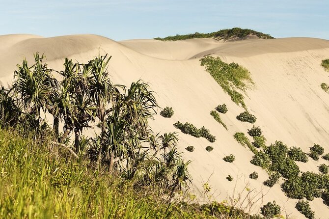 Kula Eco Park and Local School Full-Day Tour in Fiji  - Denarau Island - Common questions