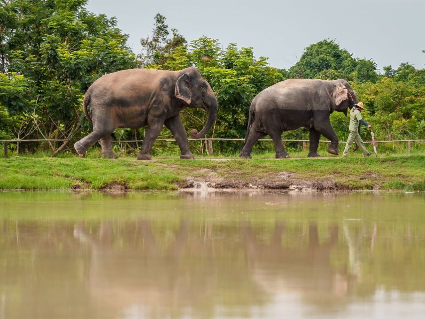 Kulen Adventure Tour by Jeep With Picnic & Elephant Forest - Tour Inclusions