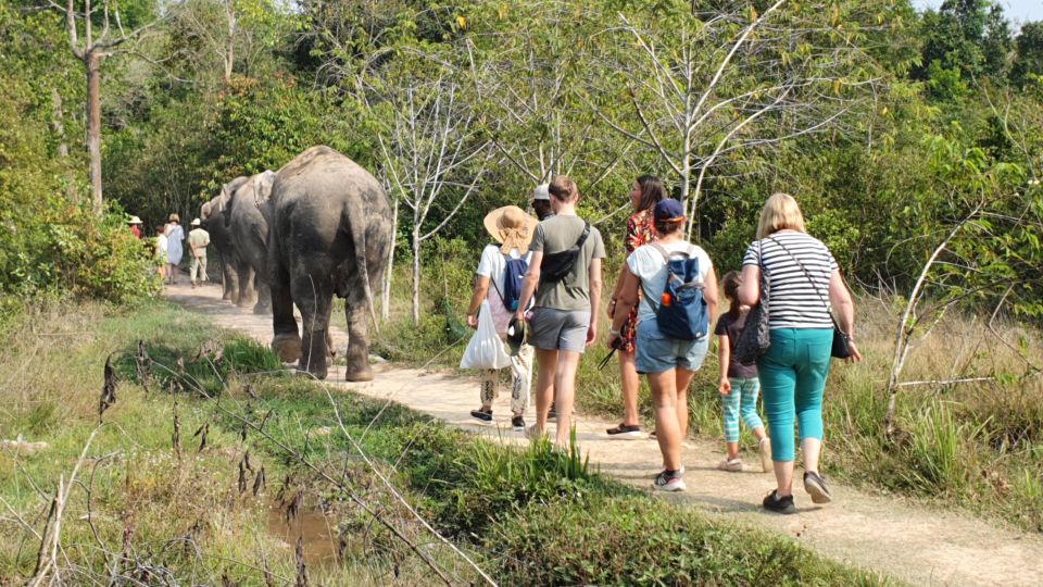 Kulen Elephant Forest and Tonle Sap Lake With Special Option - Village Exploration