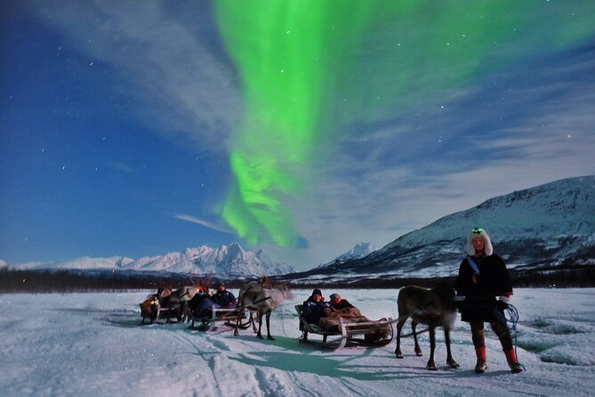 Kvaloya Northern Lights Tour, Reindeer Sledding From Tromso (Mar ) - Recommendations