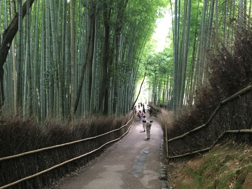 Kyoto: Arashiyama Bamboo Forest Walking Food Tour - Inclusions and Visitor Experience