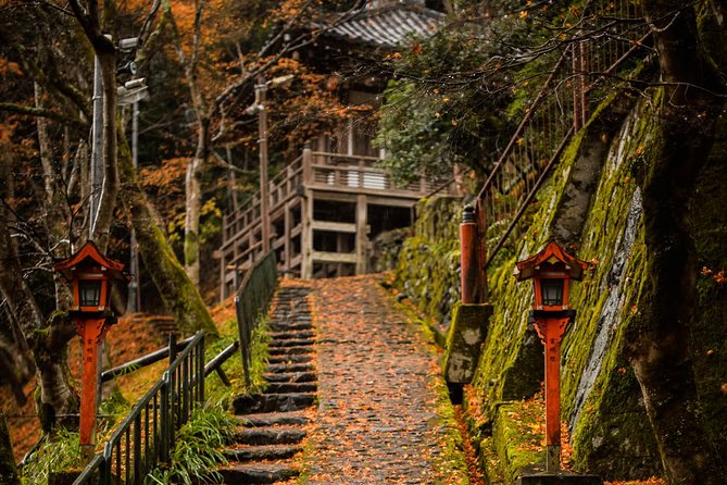 Kyoto Bamboo Forest Electric Bike Tour - Scenic E-Bike Ride Highlights