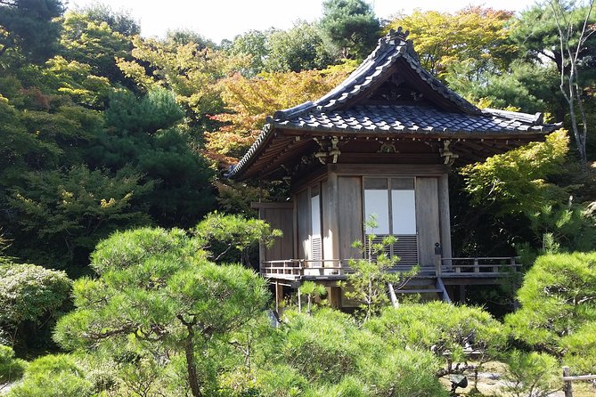 Kyoto : Immersive Arashiyama and Fushimi Inari by Private Vehicle - Benefits of Private Vehicle Tour