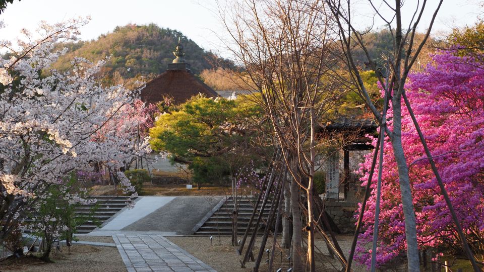 Kyoto: Ninnaji Temple Entry Ticket - Visitor Experience Insights