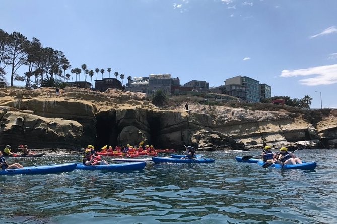 La Jolla Sea Caves Kayak Tour (Single Kayak) - Trip Summary