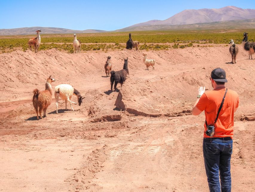 La Paz: Uyuni Salt Flats & Isla Incahuasi 5-Day Bus Tour - Directions for Travelers