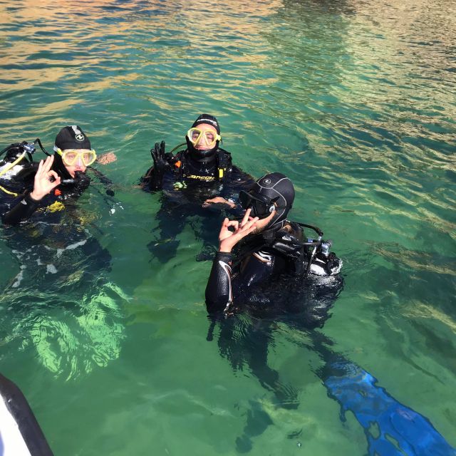 Lagos: Guided Scuba Diving Trip for Beginners - Last Words