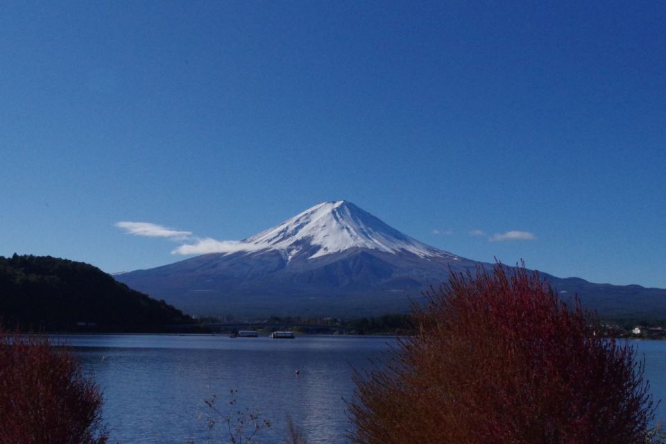 Lake Kawaguchi From Tokyo Bus Ticket Oneway/Roundway - Common questions