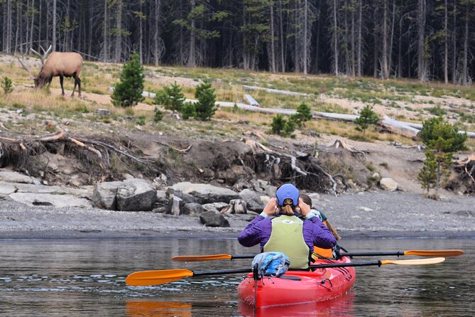 Lake Yellowstone Half Day Kayak Tours Past Geothermal Features - Customer Experience