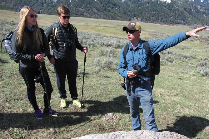 Lamar Valley Safari Hiking Tour With Lunch - Customer Reviews
