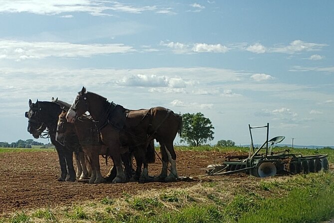 Lancaster County Amish Culture Small-Group Half-Day Tour - Meeting Point Details