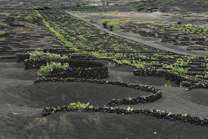 Lanzarote Landscapes Tour Including Timanfaya National Park - Memorable Experiences and Must-See Sights