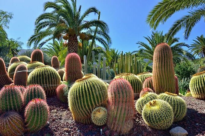 Las Palmas, Botanical Garden & Bandama Crater Tour - Gran Canaria - Terms & Conditions