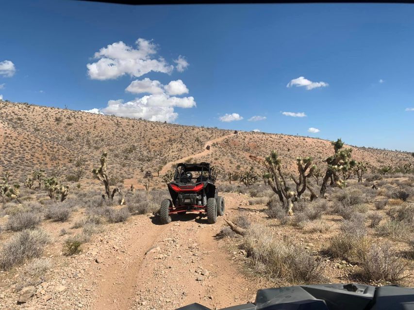 Las Vegas Mojave Desert Adventure - Guided Tour - Guide Services