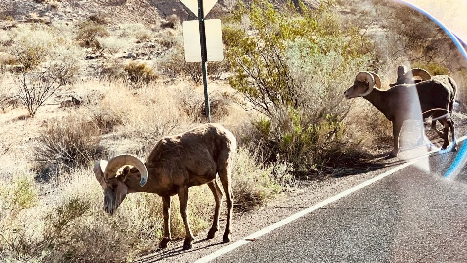 Las Vegas: Valley of Fire Scenic Tour - Directions