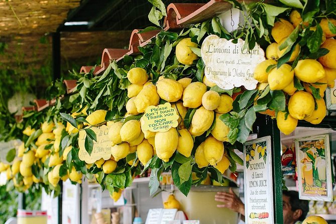 Li Galli Islands and Capri Small Group Boat Tour From Amalfi - Last Words