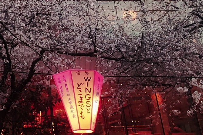 Licensed Guide Tokyo Meguro Cherry Blossom Walking Tour - Last Words