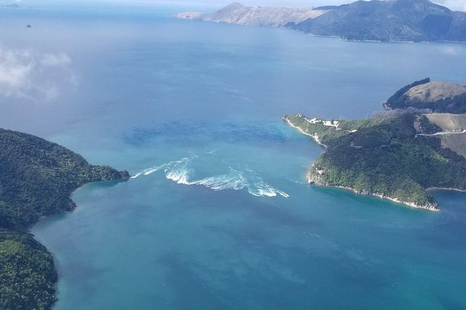Light Aircraft Tour of the Marlborough Sounds From Picton (Mar ) - Common questions