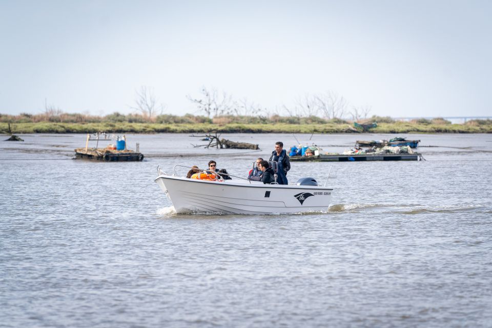 Lisbon: Tagus Estuary Nature Reserve Birdwatching Boat Tour - Safety and Convenience